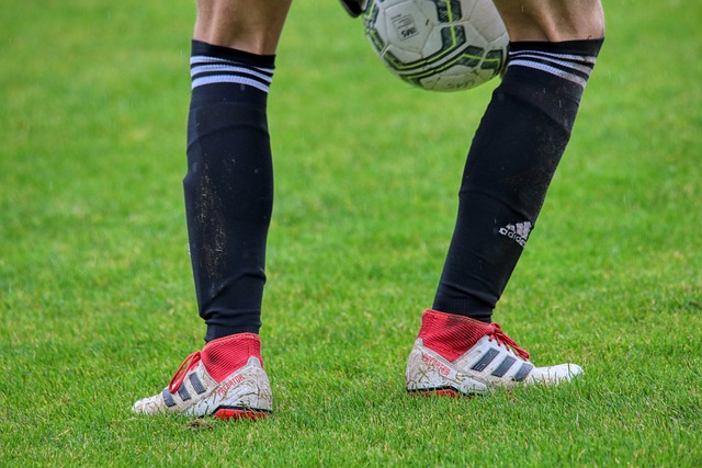 利女足的威 利女足的威