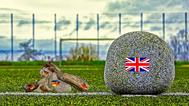 的集训计划 的集训计划