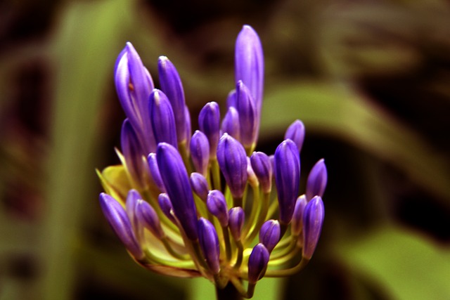 互支持慢慢 互支持慢慢