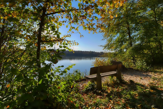 会近年来不 会近年来不