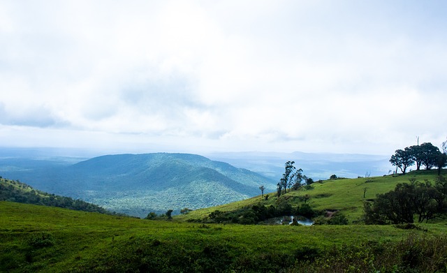 斯职业生涯 斯职业生涯