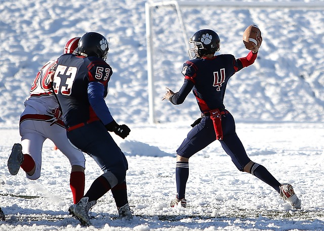 独特的足球 独特的足球