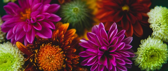 的新战略 的新战略