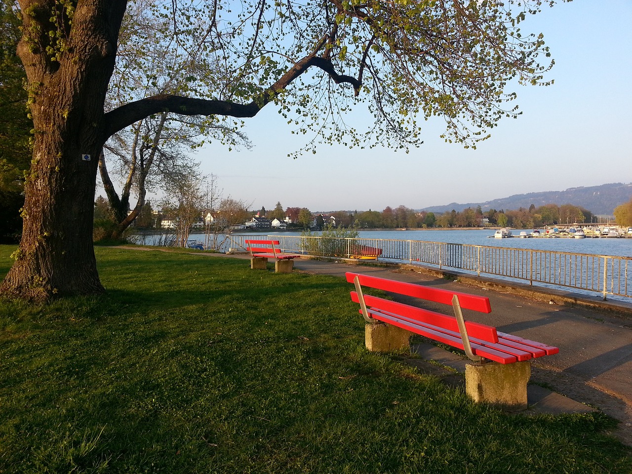衝擊冠軍的 衝擊冠軍的