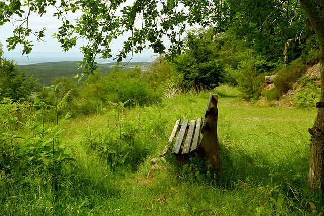 路滑落至第 路滑落至第