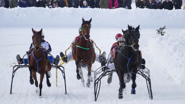 的中距离投 的中距离投